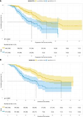 An oxidative stress biomarkers predict prognosis in gastric cancer patients receiving immune checkpoint inhibitor